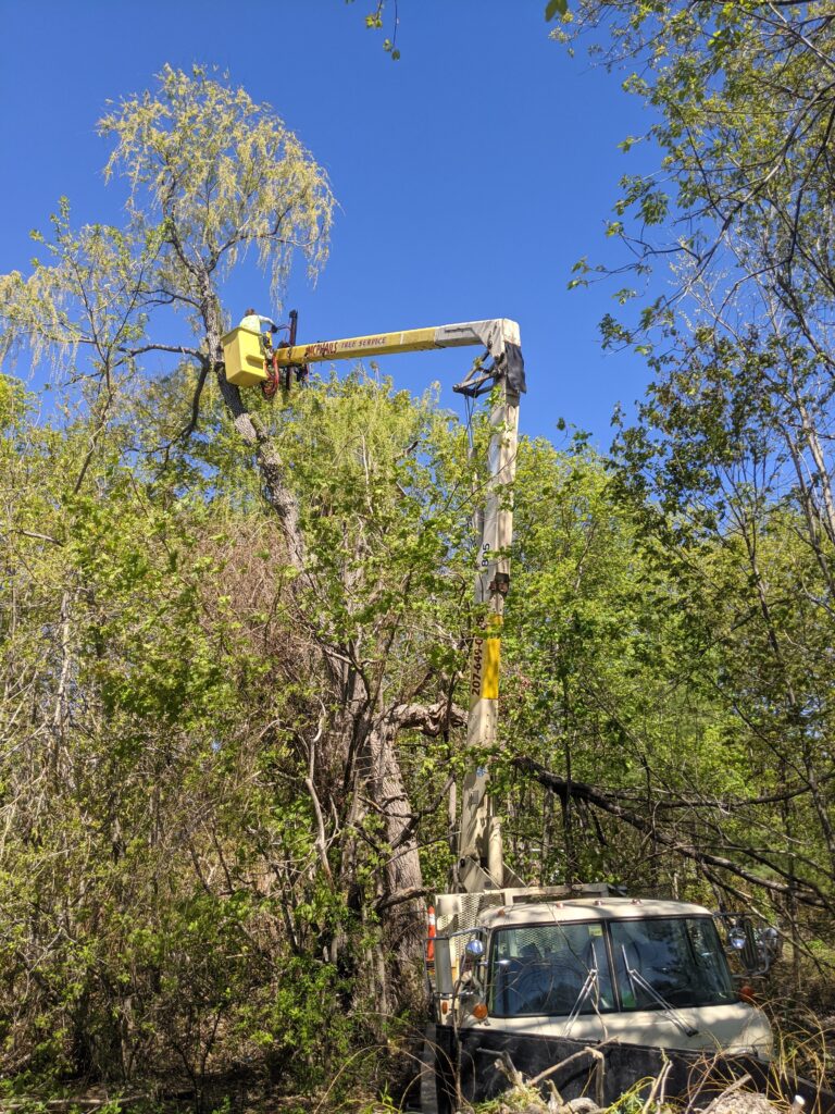 pxl 20210507 135115751