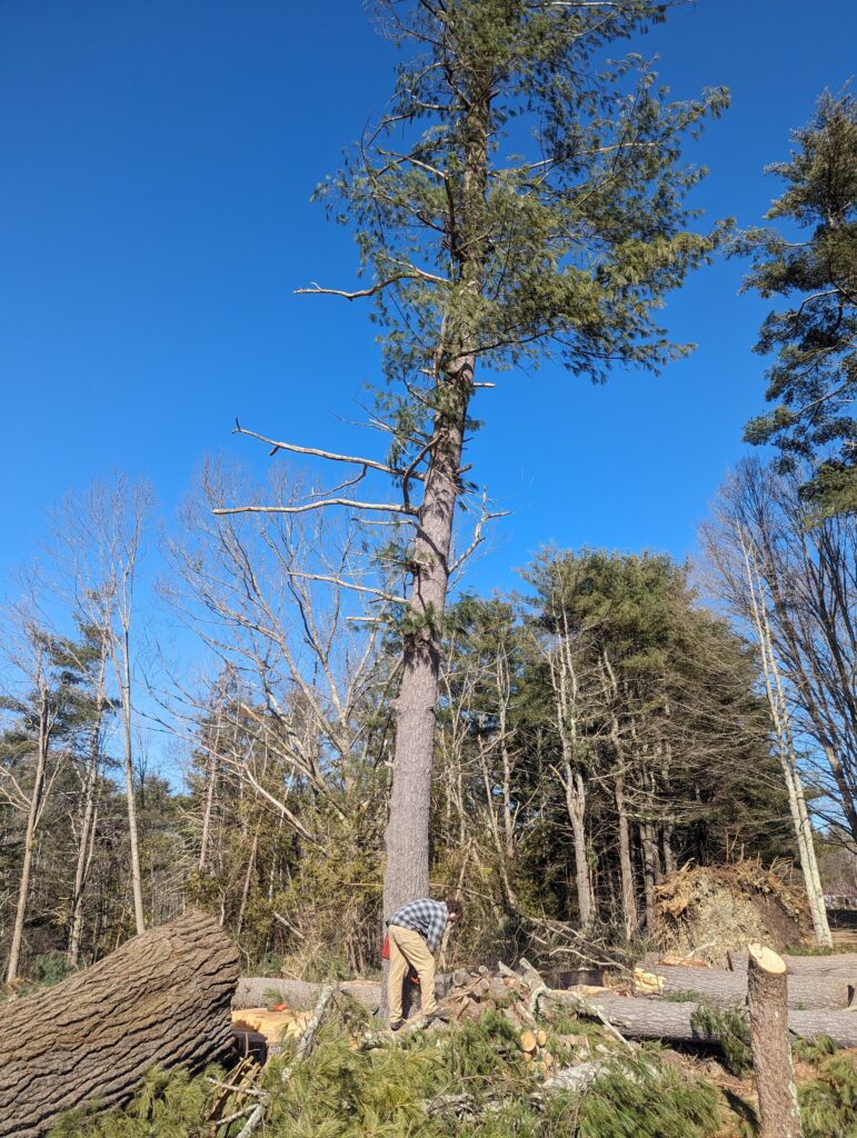 pxl 20240302 153253024